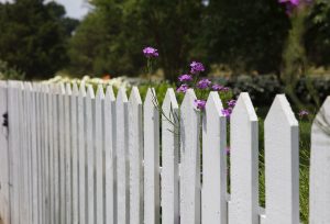 boundaries fence