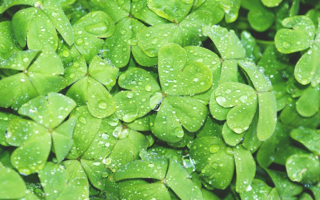 Selling yourself  is not “luck”